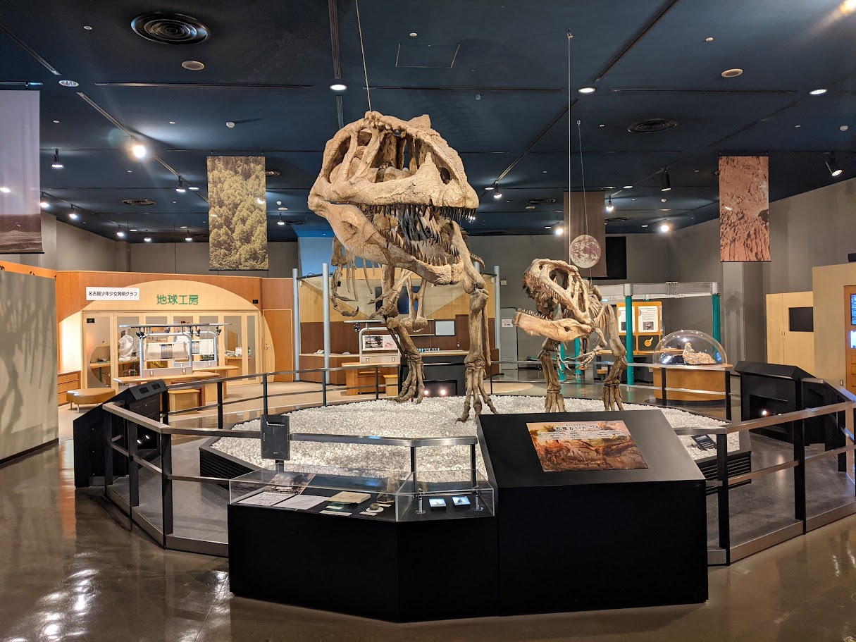 マプサウルス / 撮影地: 名古屋市科学館の写真