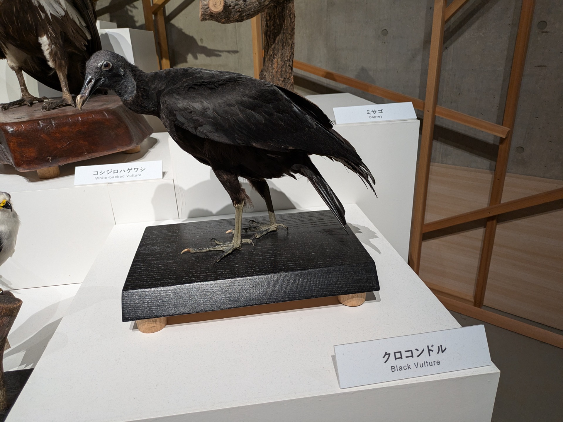 分類のヘッダー画像
