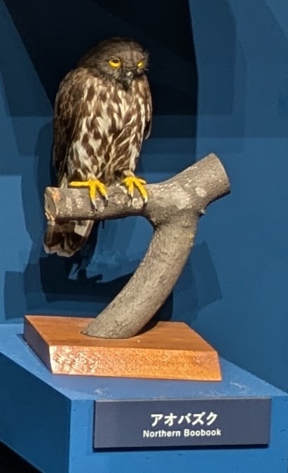 分類のヘッダー画像