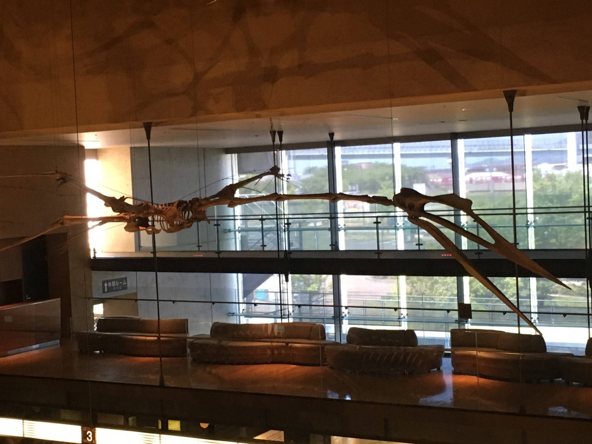 ケツァルコアトルス / 撮影地: 北九州市立いのちのたび博物館の写真