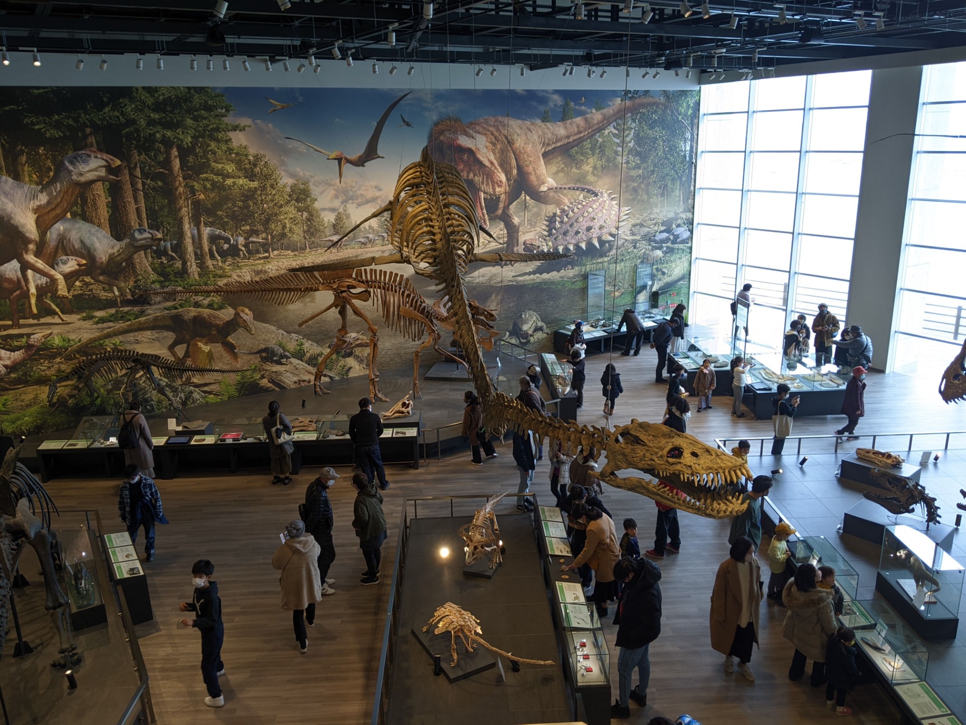タラッソメドン / 撮影地: ベネックス恐竜博物館(長崎市恐竜博物館)の写真
