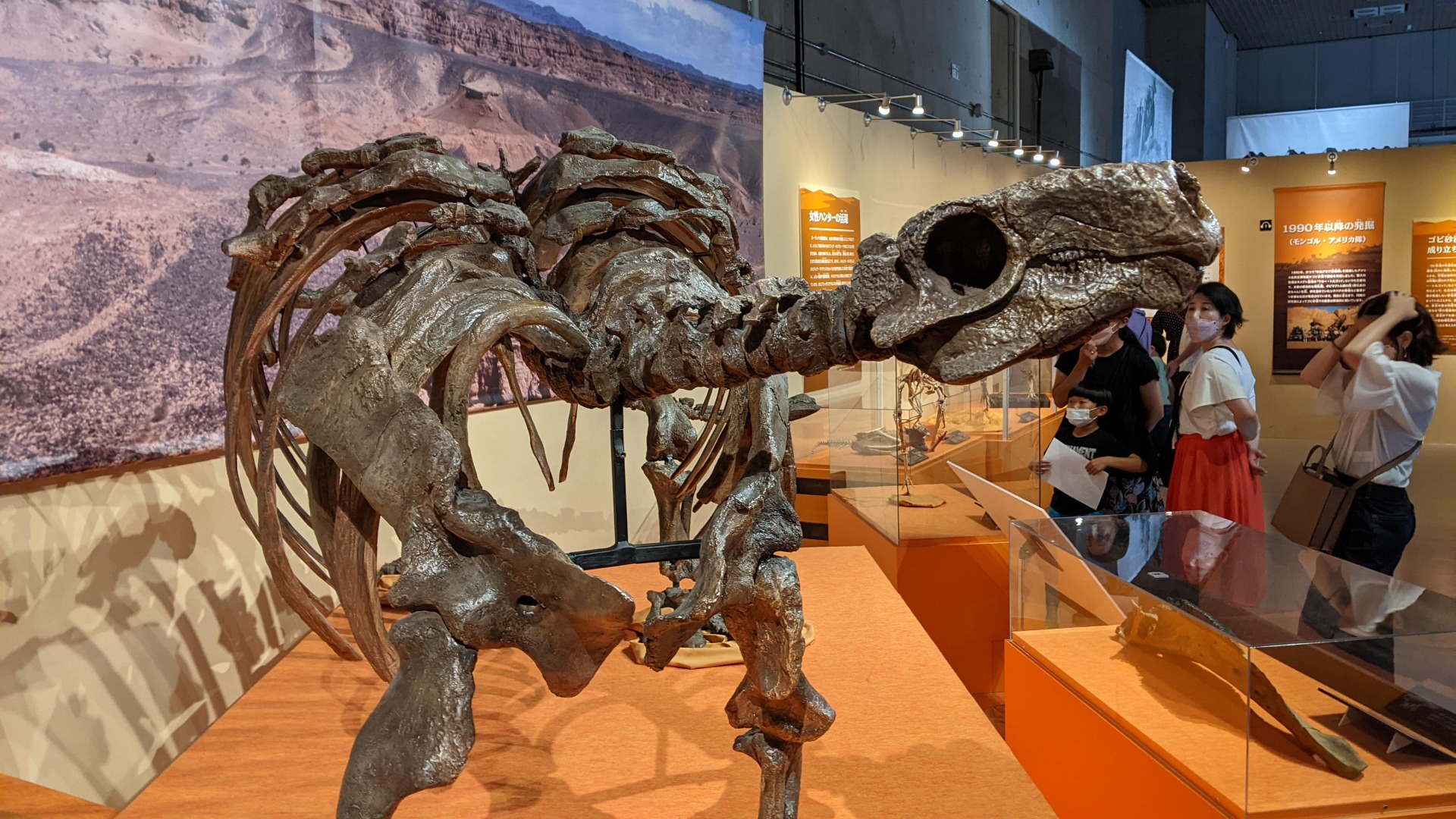 タラルルス / イベント: 化石ハンター展 ～ゴビ砂漠の恐竜とヒマラヤの超大型獣～の写真