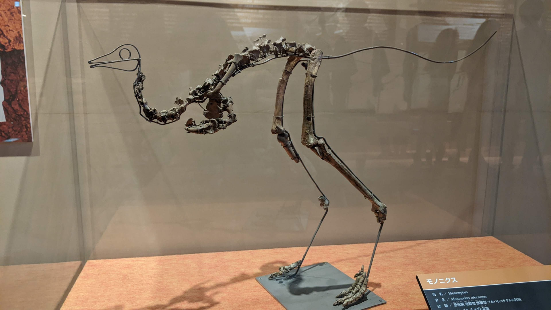 モノニクス / イベント: 化石ハンター展 ～ゴビ砂漠の恐竜とヒマラヤの超大型獣～の写真