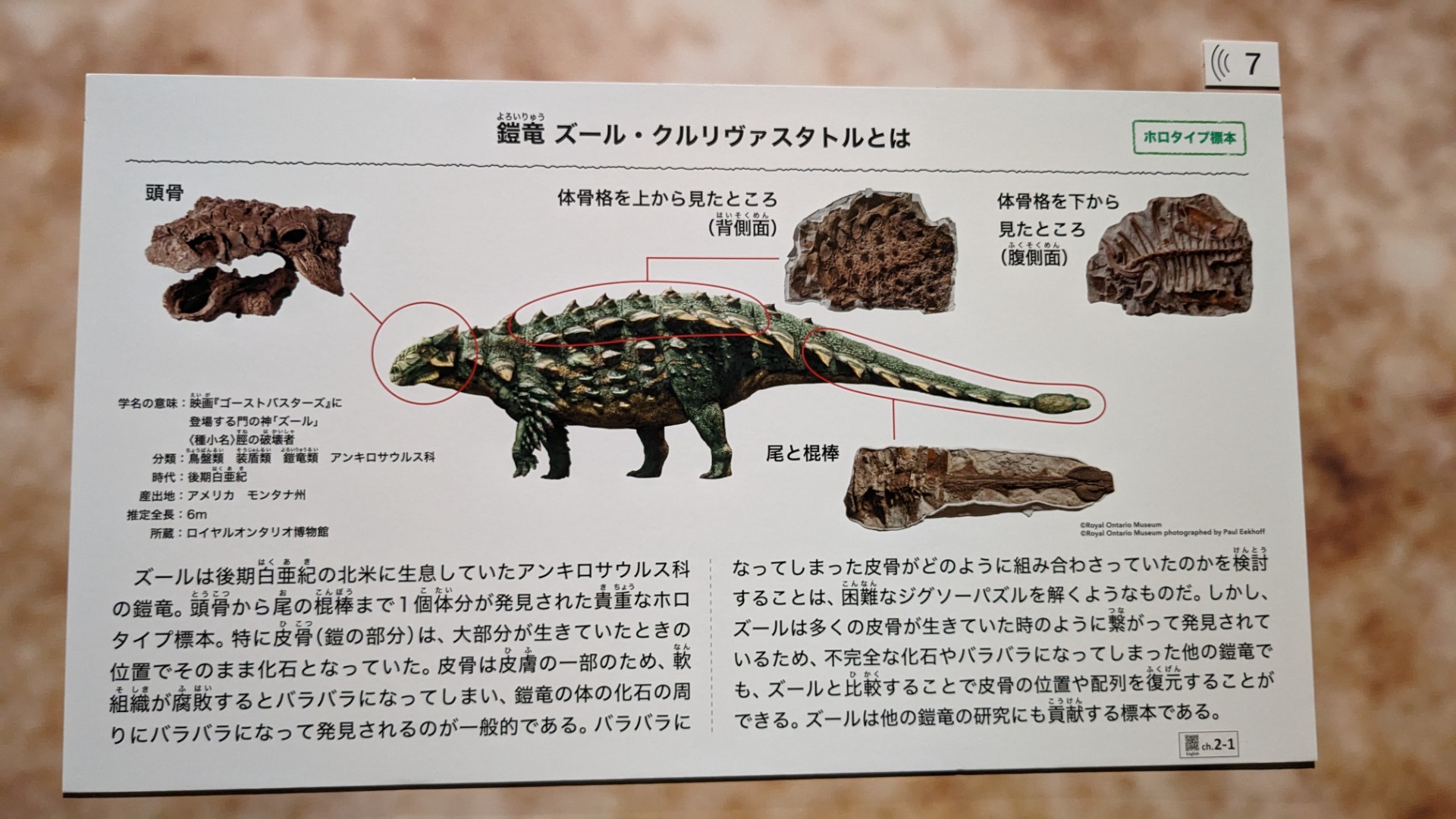 ズール / イベント: 恐竜博2023の写真