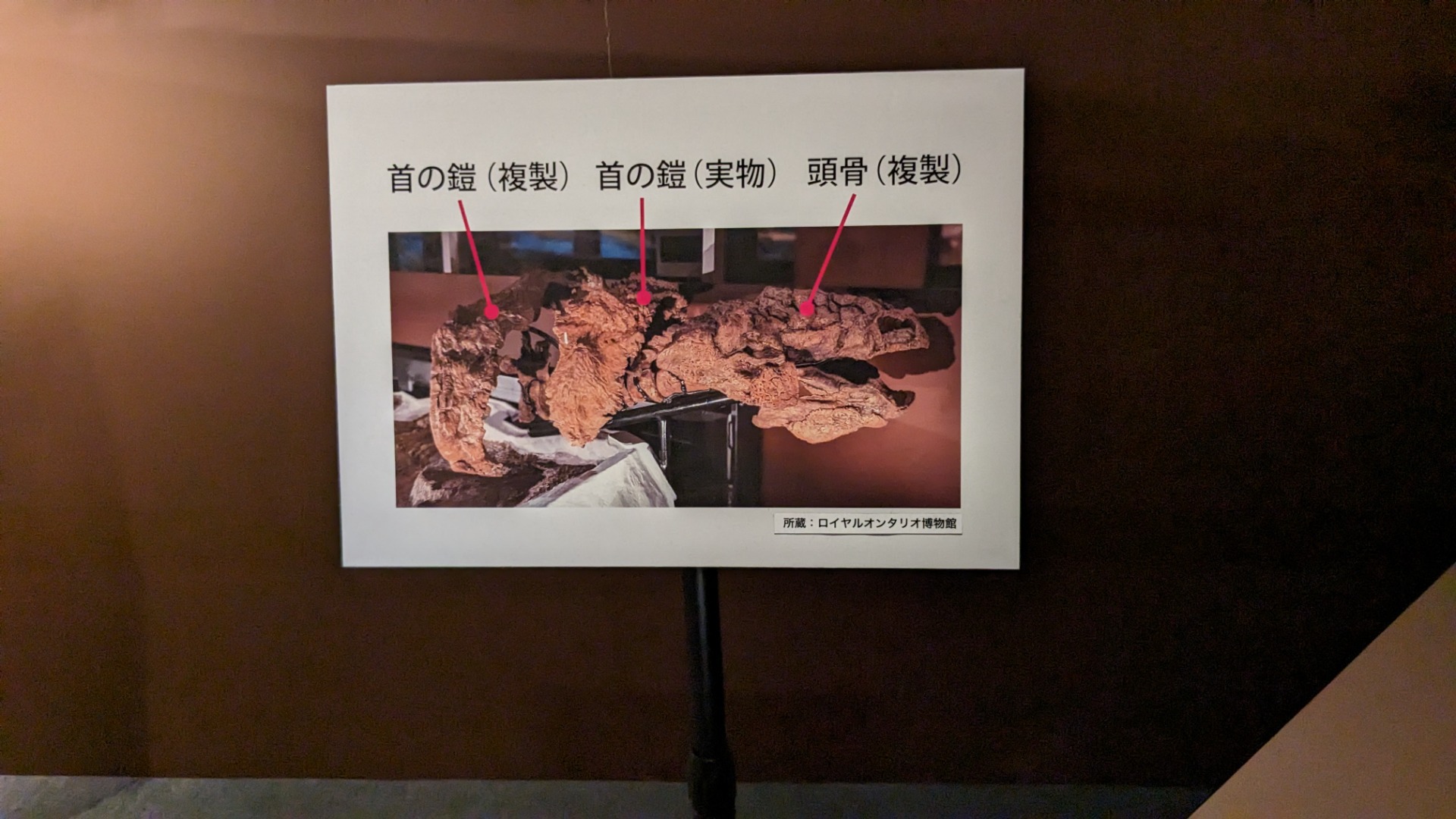 ズール / イベント: 恐竜博2023の写真