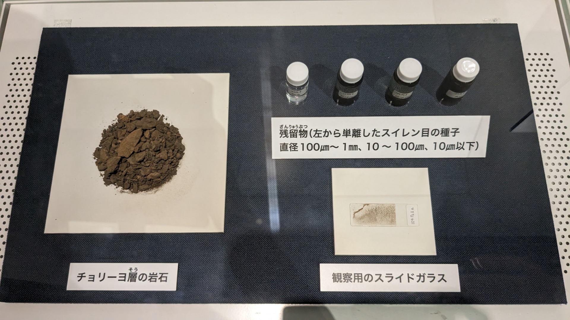 イベント: 恐竜博2023の写真