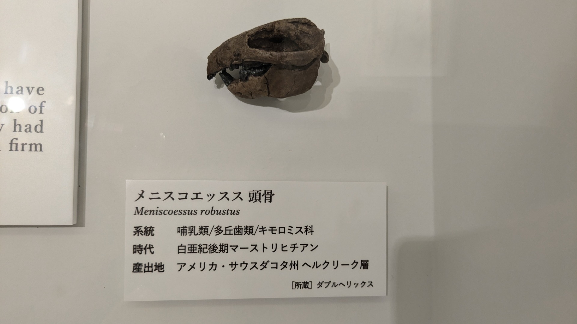 分類のヘッダー画像