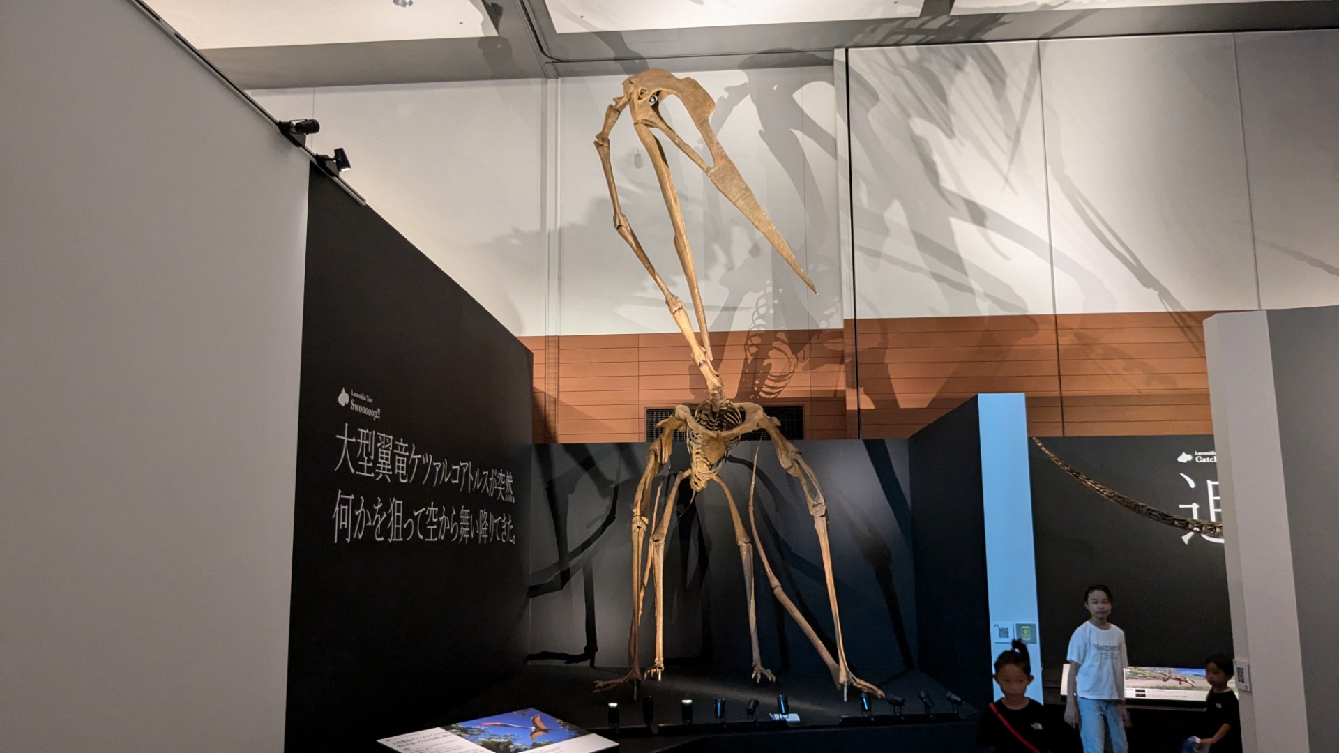 ケツァルコアトルス / イベント: DinoScience 恐竜科学博 ～ララミディア大陸の恐竜物語～の写真