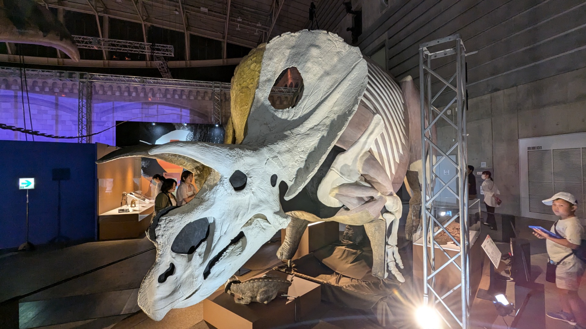 トロサウルス / イベント: 巨大恐竜展の写真