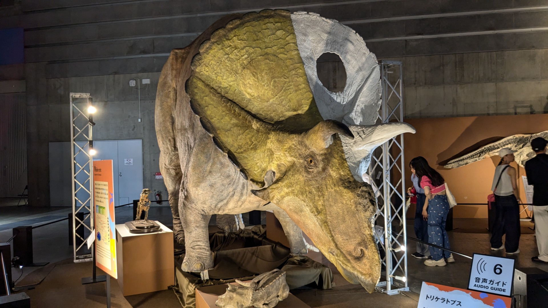 トロサウルス / イベント: 巨大恐竜展の写真