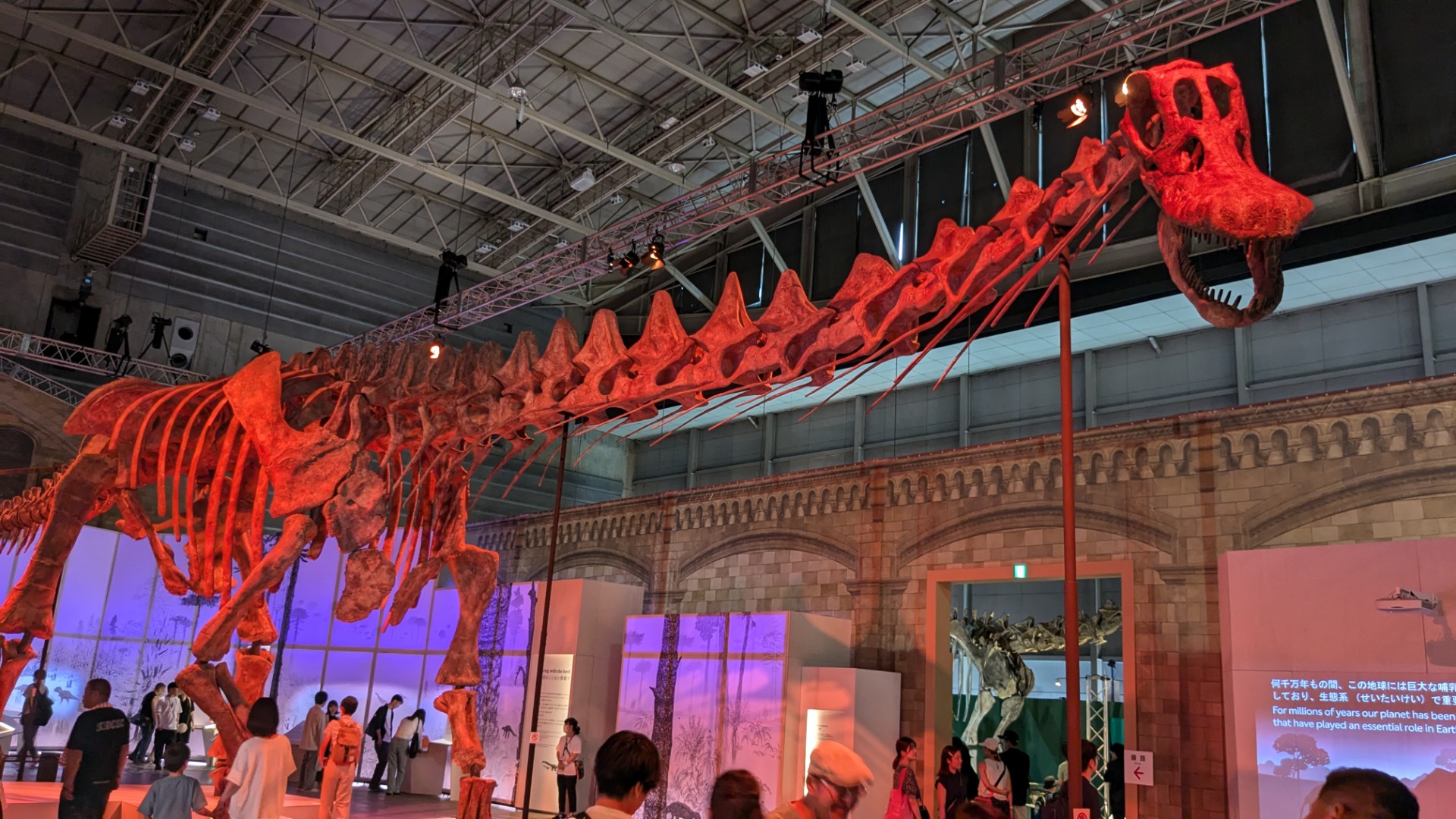 パタゴティタン / イベント: 巨大恐竜展の写真