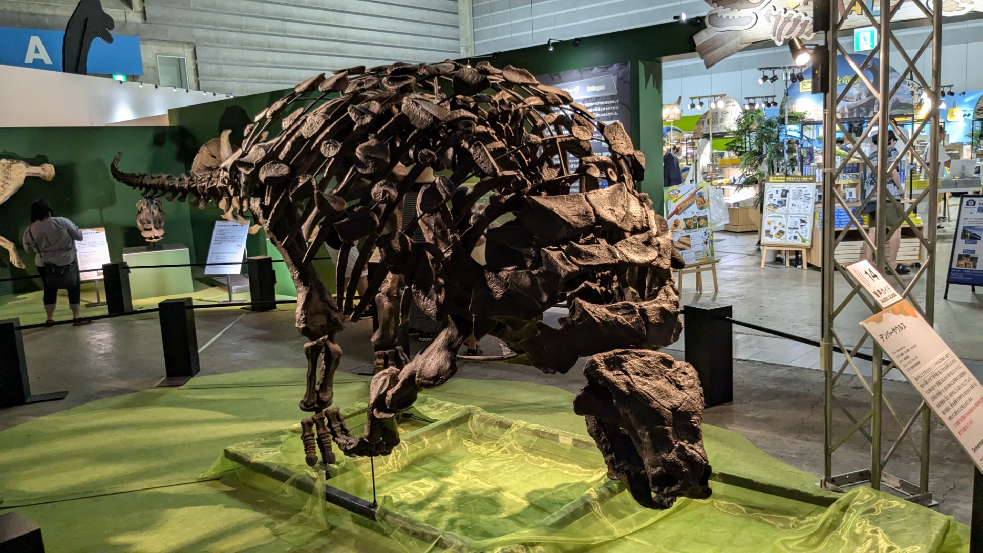 デンバーサウルス / イベント: 巨大恐竜展の写真