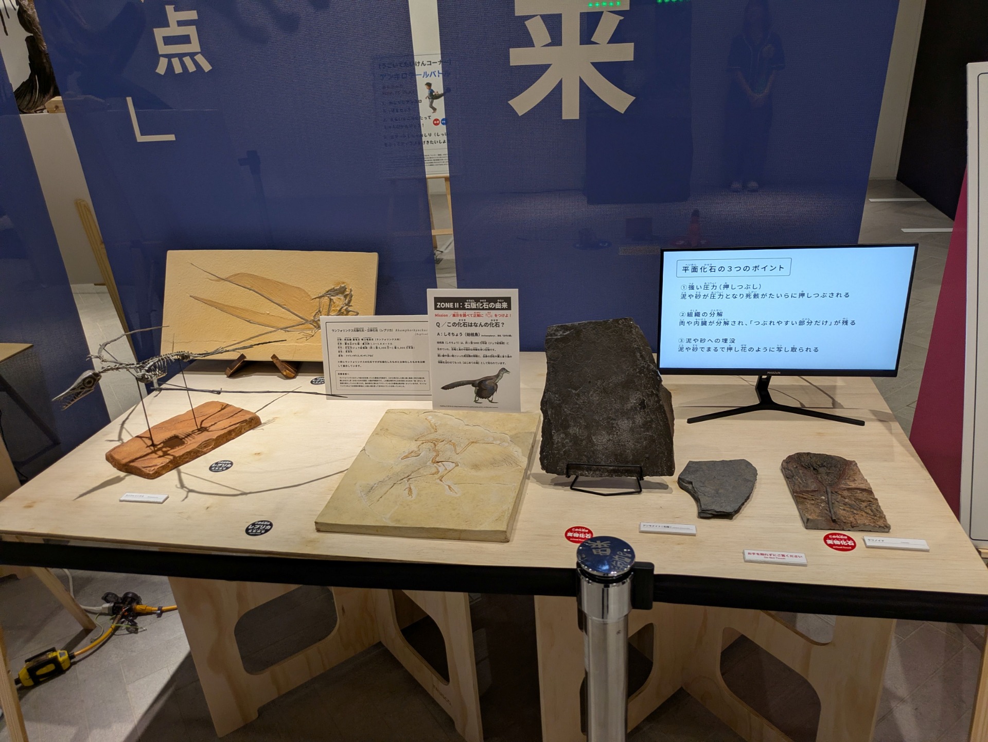 イベント: YAESU KIDS EXPO 2026 ダイナソーラボの写真
