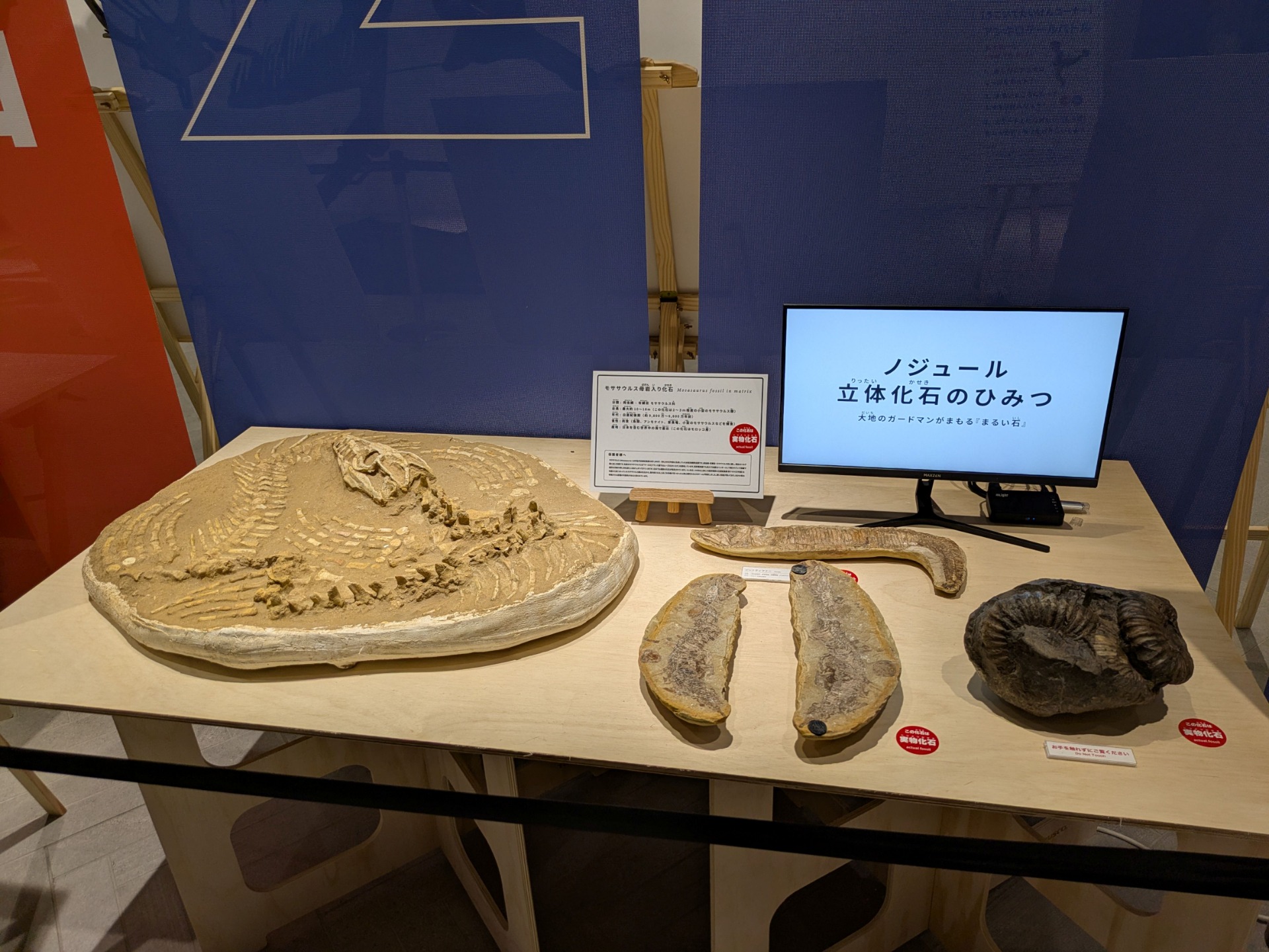 イベント: YAESU KIDS EXPO 2026 ダイナソーラボの写真