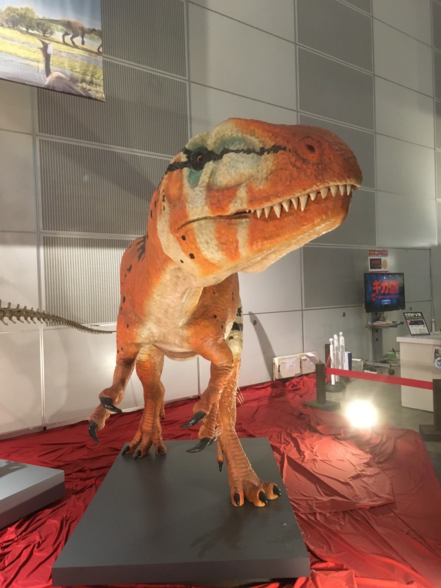 コンカヴェナトル / イベント: ギガ恐竜展2017 －地球の絶対王者のなぞ－の写真